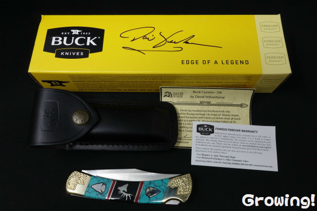 BUCK KNIFE 110ST Folding Hunter Stag 黄箱