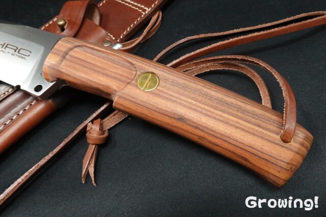 ※イマムラ 楽天市場】ISAMU KATAYAMA BACKLASH RED LINE／イサムカタヤマ