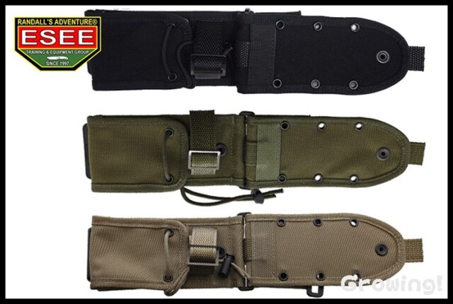 ES-MOLLE5-3.jpg
