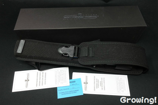 ダーリンシンドローム 、 イナイナイリブート、ベノマ セット（ベノマ特典、帯付） ダーリンシンドローム 、 イナイナイリブート、ベノマ セット（ベノマ