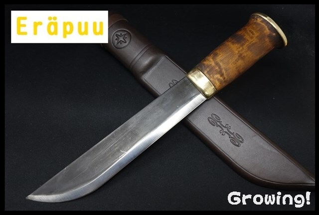 Erapuu14577-1.jpg