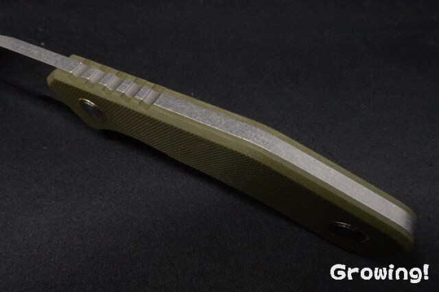 FBG240502-GNSW-4.jpg