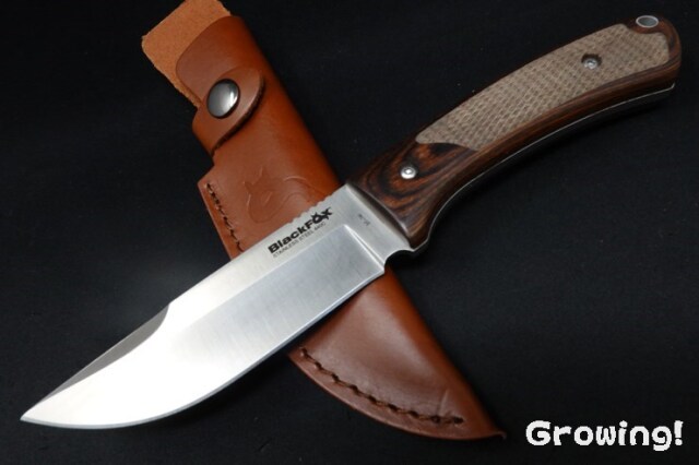 ナイフショップ グローイング！□BlackFox【ブラックフォックス