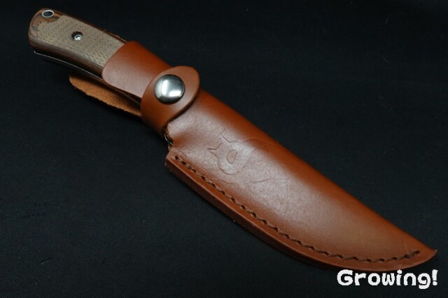 ナイフショップ グローイング！□BlackFox【ブラックフォックス