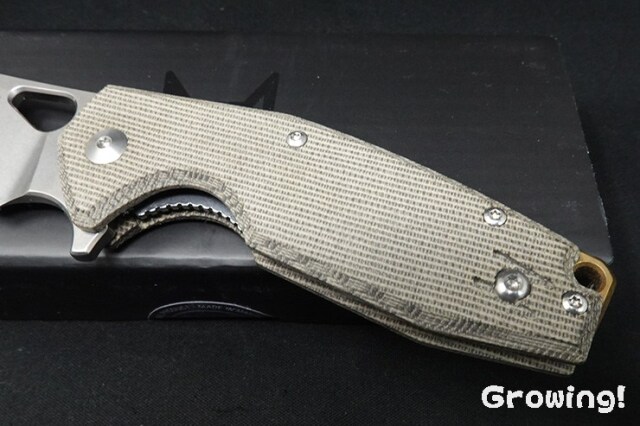 FOX KNIVES【フォックス・ナイブス　替刃付き　ケース付き ナイフショップ グローイング！□FOX KNIVES【フォックス
