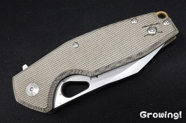 FOX KNIVES【フォックス・ナイブス　替刃付き　ケース付き ナイフショップ グローイング！□FOX KNIVES【フォックス