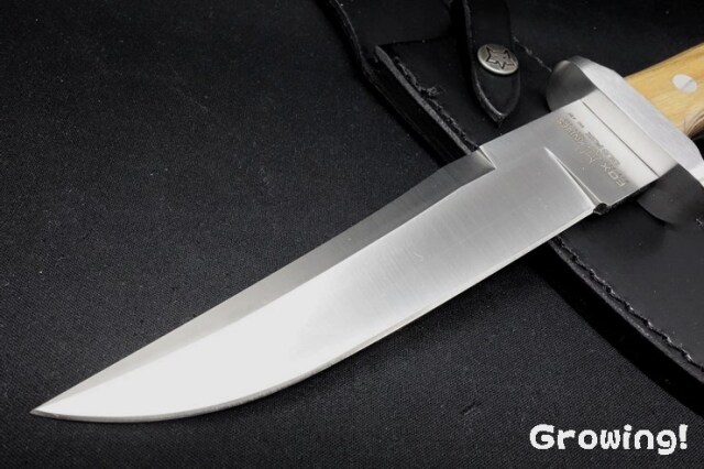 ネットワーク・フォックス・ハンティング ネットワーク・フォックス・ハンティング Byonics - Foxhunting