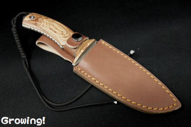 FOX KNIVES【フォックス・ナイブス　替刃付き　ケース付き ナイフショップ グローイング！□FOX KNIVES【フォックス