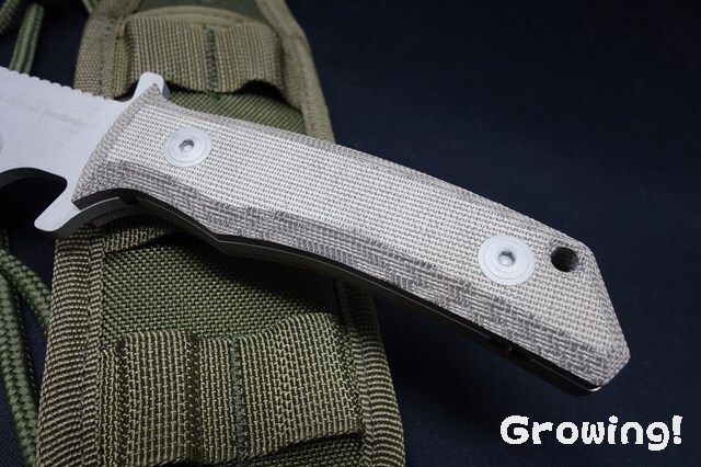 ナイフショップ グローイング！□FOX KNIVES【フォックス ナイブス