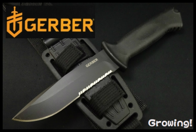 ナイフショップ グローイング！□GERBER【ガーバー】□ ステッド
