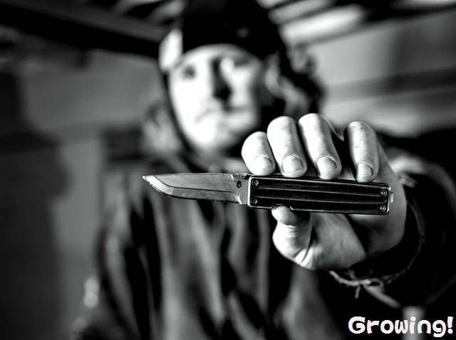 ナイフショップ グローイング！□GERBER【ガーバー】□ ポケット