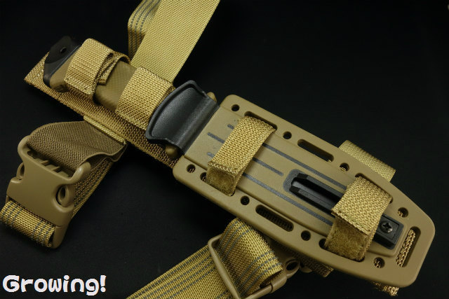 ハイパーナイフ6 専用プローブ FACEプローブ　正規店購入品 楽天市場】TSUGE ツゲパイプ G9 メタルブロウフィッシュ