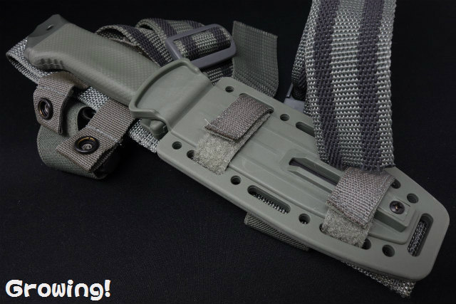 ナイフショップ グローイング！□GERBER【ガーバー】□ LMF II ASEK