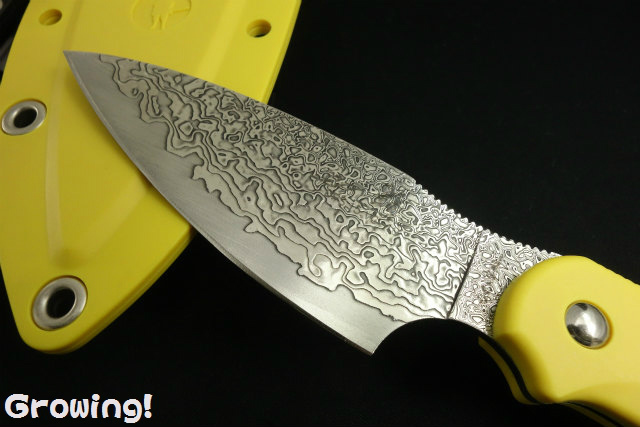 ダマスカスペーパーナイフ　ジーサカイ　ボーイスカウト日本連盟100周年記念品 日本ボーイスカウト滋賀連盟スカウト用品部