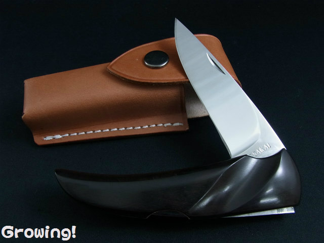 ナイフショップ グローイング！□G・SAKAI【ガーバー サカイ  