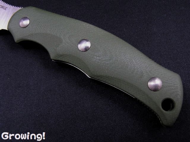 ナイフショップ グローイング！□G・SAKAI【ガーバー サカイ