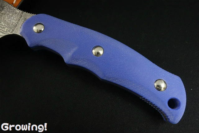 ナイフショップ グローイング！□G・SAKAI【ガーバー サカイ