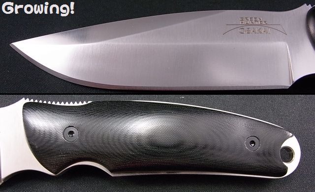 ナイフショップ グローイング！□G・SAKAI【ガーバー サカイ