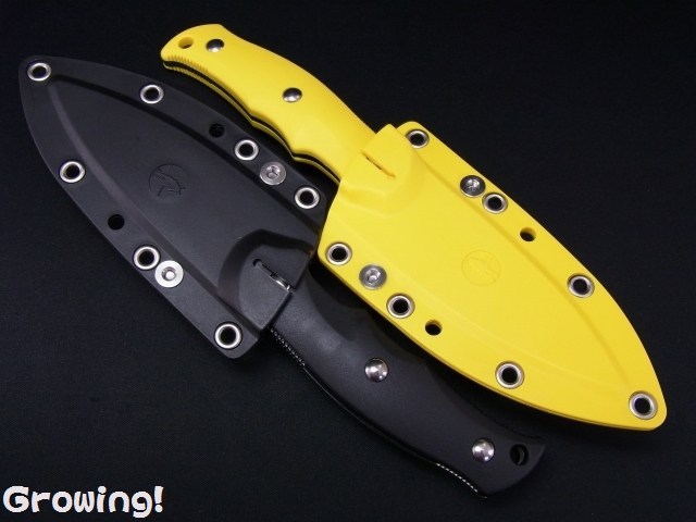 ナイフショップ グローイング！□G・SAKAI【ガーバー サカイ