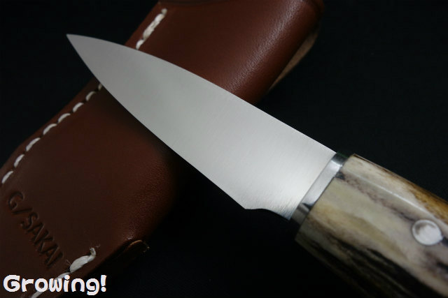ナイフショップ グローイング！□G・SAKAI【ガーバー サカイ  