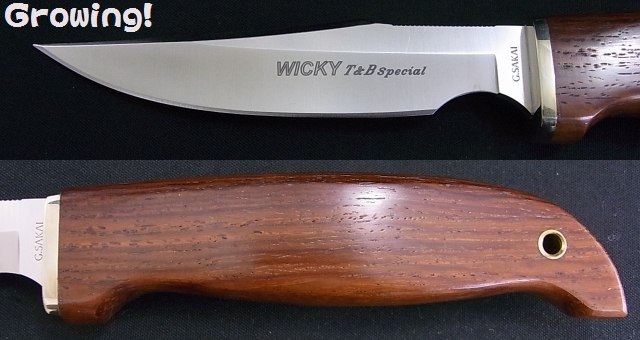 【廃盤】Ｇサカイ_ATS-34シェフナイフ・未使用品【稀少】 廃盤】Gサカイ_ATS-34シェフナイフ・未使用品【稀少】 廃盤】Gサカイ_