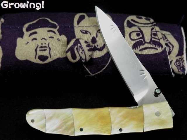 カスタムナイフ製作の技術 写真集 Custom Knifemaking 916MmUndQ-L.jpg