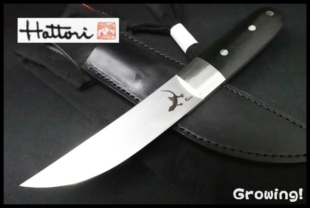☆Hattori (ハットリ) 目高(黒檀マイカルタ)新品・希少品! ☆Hattori (ハットリ) 目高(黒檀マイカルタ)新品・希少品!