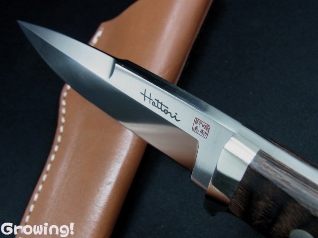 ハイパーナイフ　ボディ フェイスプロープ 2本 Hyper Knife（ハイパーナイフ）【日本製】の卸・通販
