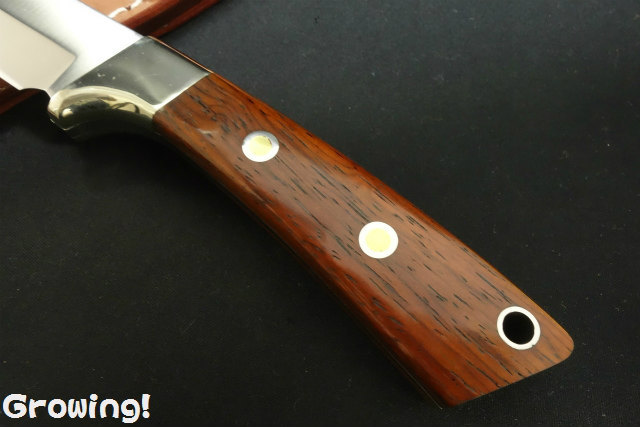 ひろここ SALE【HIROKO BIS】無地 ワイドパンツ ブラウン系 11号 - メルカリ