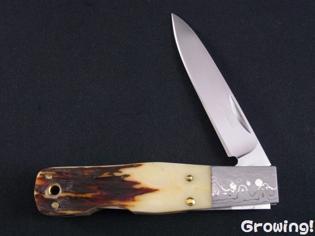 ナイフショップ グローイング！□今井誠造【いまい せいぞう  