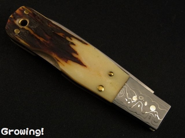 ナイフショップ グローイング！□今井誠造【いまい せいぞう  