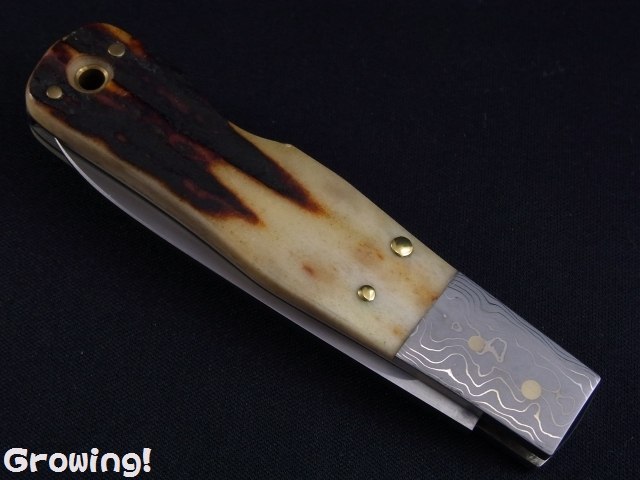 ナイフショップ グローイング！□今井誠造【いまい せいぞう  