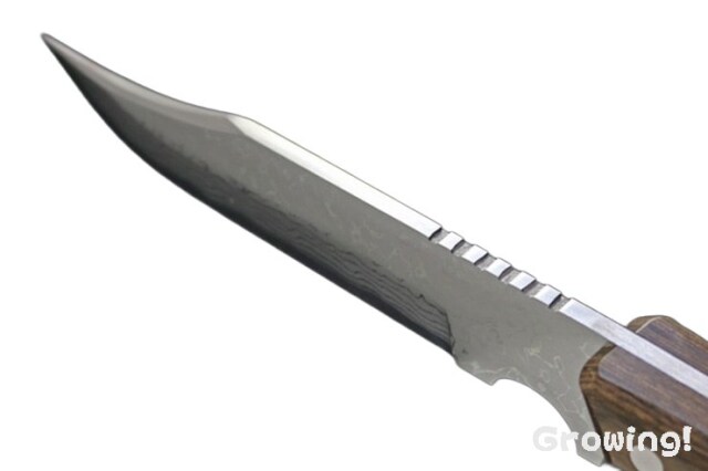 ナイフショップ グローイング！□関兼常作【KANETUNE