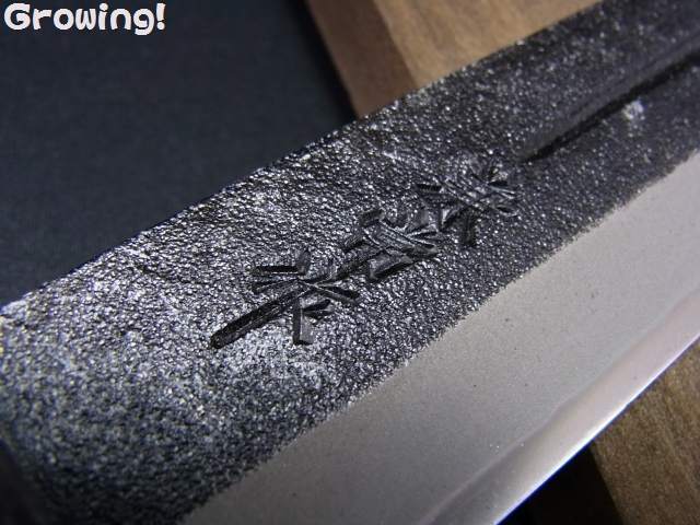 ナイフショップ グローイング！□関兼常作【KANETUNE】□ 関伝古式和