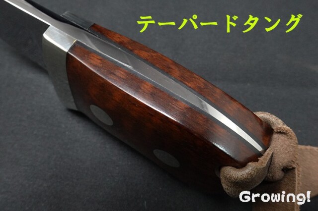 青一鋼水本焼尺一切付数珠刃スネークウッド柄 鱧切り包丁 青鋼 水牛柄 1尺（300mm） | 刃物の老舗 本家かね惣