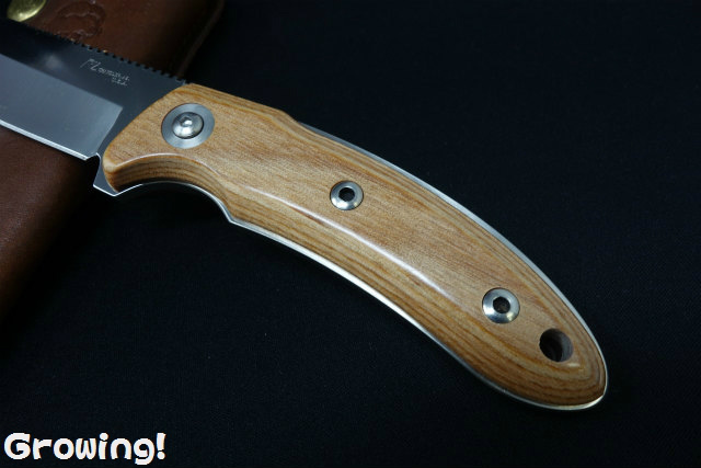 ナイフ ナイフショップ グローイング！□Katz Knives【キャッツナイフ