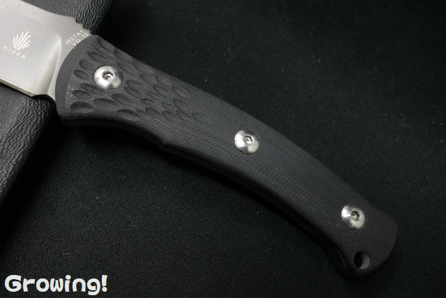 ナイフショップ グローイング！□KiZER【カイザー】□ 「シーライオン