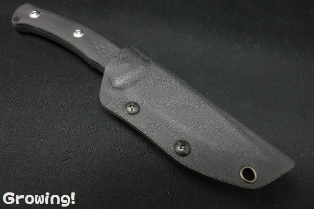 ナイフショップ グローイング！□KiZER【カイザー】□ 「シーライオン