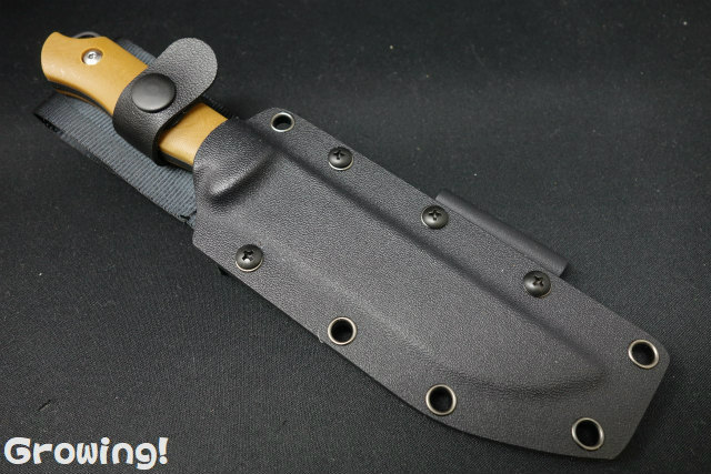 ナイフショップ グローイング！□KiZER【カイザー】□ 「ブッシュ