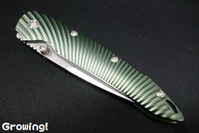 ナイフシザー ナイフショップ グローイング！□KiZER【カイザー・ナイブス