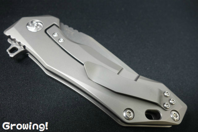 ナイフショップ グローイング！□KiZER【カイザー】□ 「アップ