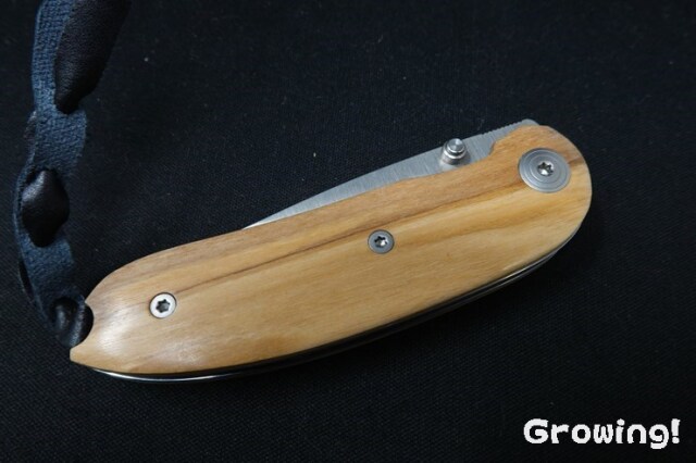 海外通販サイト ブランド ナイフショップ グローイング！□lionSTEEL【ライオンスチール 遊戯王ラッシュデュエル