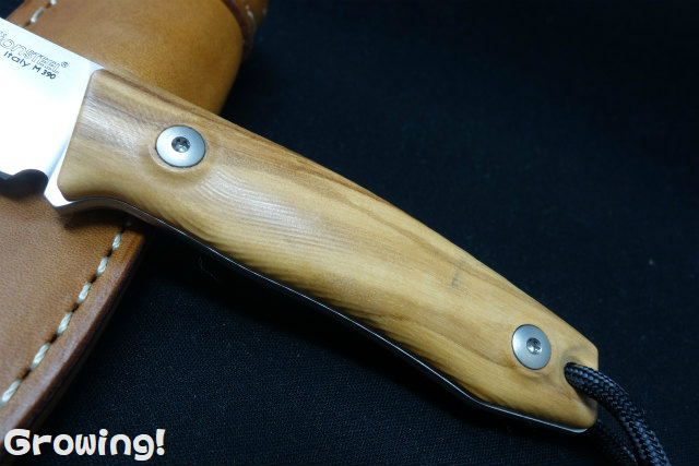 leon スチールブック ワンクリック leon スチールブック ワンクリック