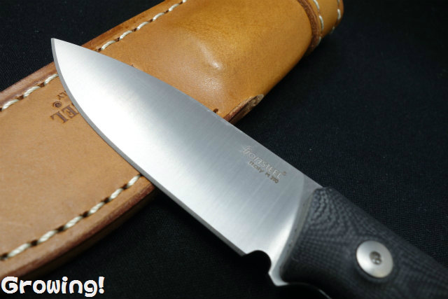 Lionsteel Molletta, 2.88