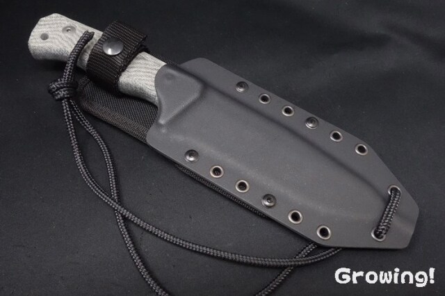 ライオンスチール T6　購入前にコメントをお願いします。 ナイフショップ グローイング！□lionSTEEL【ライオンスチール