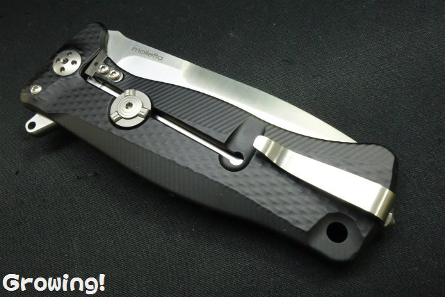 ナイフショップ グローイング！□lionSTEEL【ライオンスチール