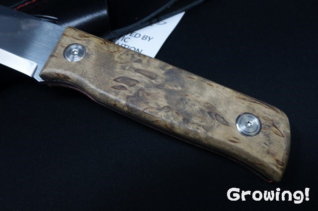 ナイフショップ グローイング！□Marttiini【マルティニ】□ ツンドラ