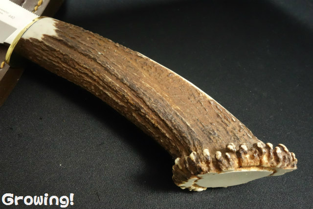 ハイパーナイフ　本体　ワム　正規品 ワム ハイパーナイフ Hyper Knife 正規品 株式会社ワムのハイパーナイフ7®