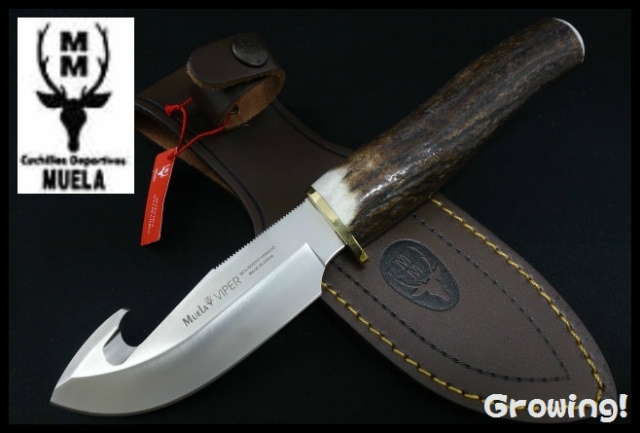 ナイフショップ グローイング！□Muela【ムエラ】□ バイパー ハンター