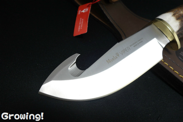 ナイフショップ グローイング！□Muela【ムエラ】□ バイパー ハンター